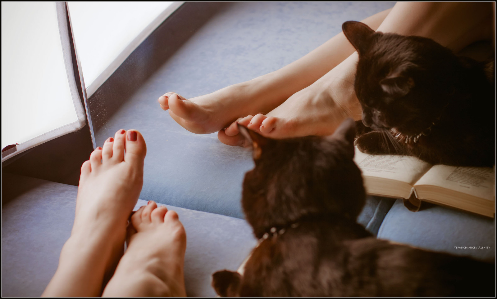 noha, noha, savec, obratlovců, Lidské tělo, kočka, ruka, prst, dívka, malé až středně velké kočky, carnivoran, střevíc, dolní končetina, naboso