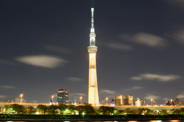 Japan,city,cityscape,night,architecture,skyline
