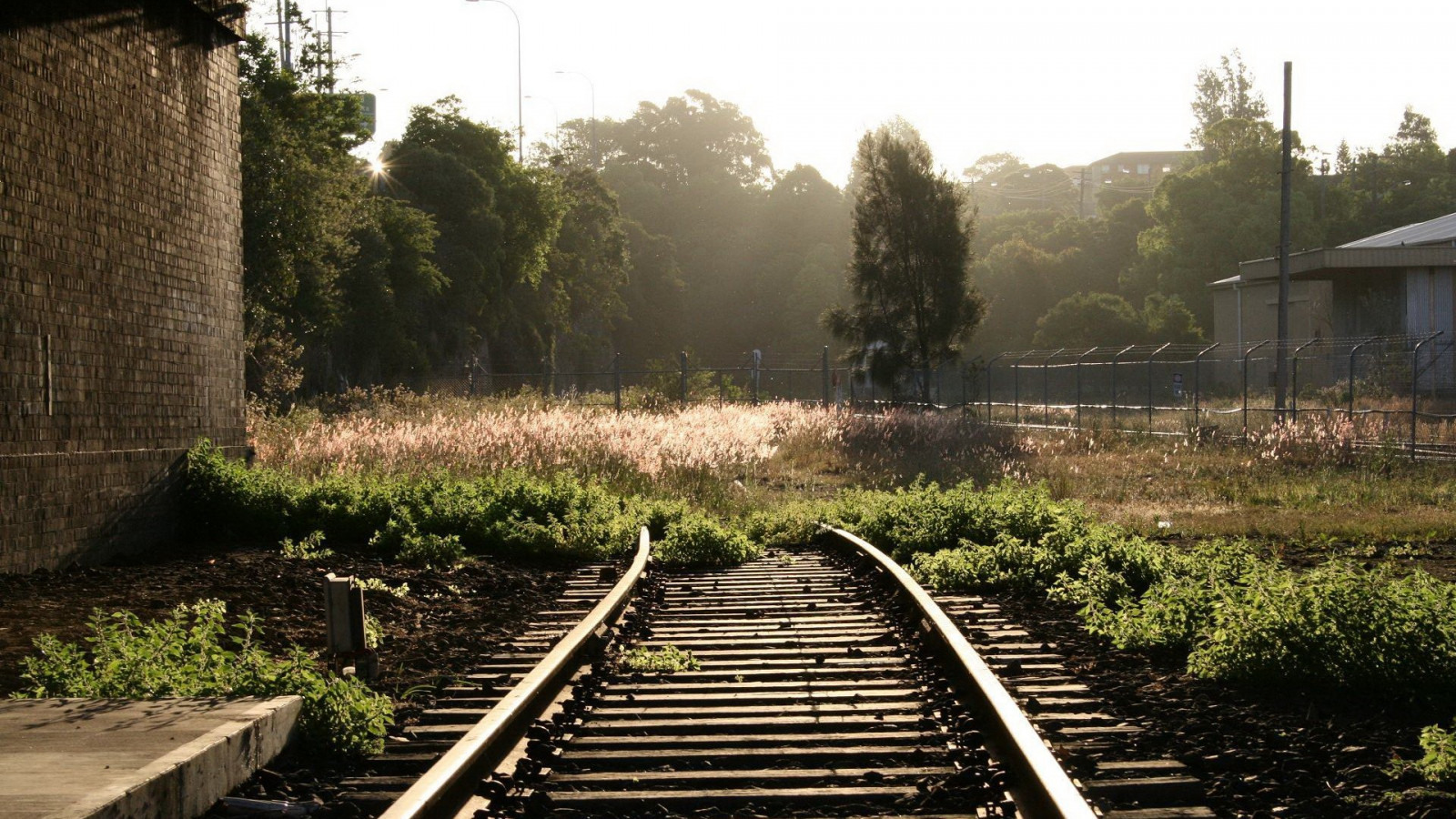 giardino, veicolo, treno, ferrovia, mattina, trasporto, albero, autunno, traccia, area rurale, trasporto ferroviario, materiale rotabile