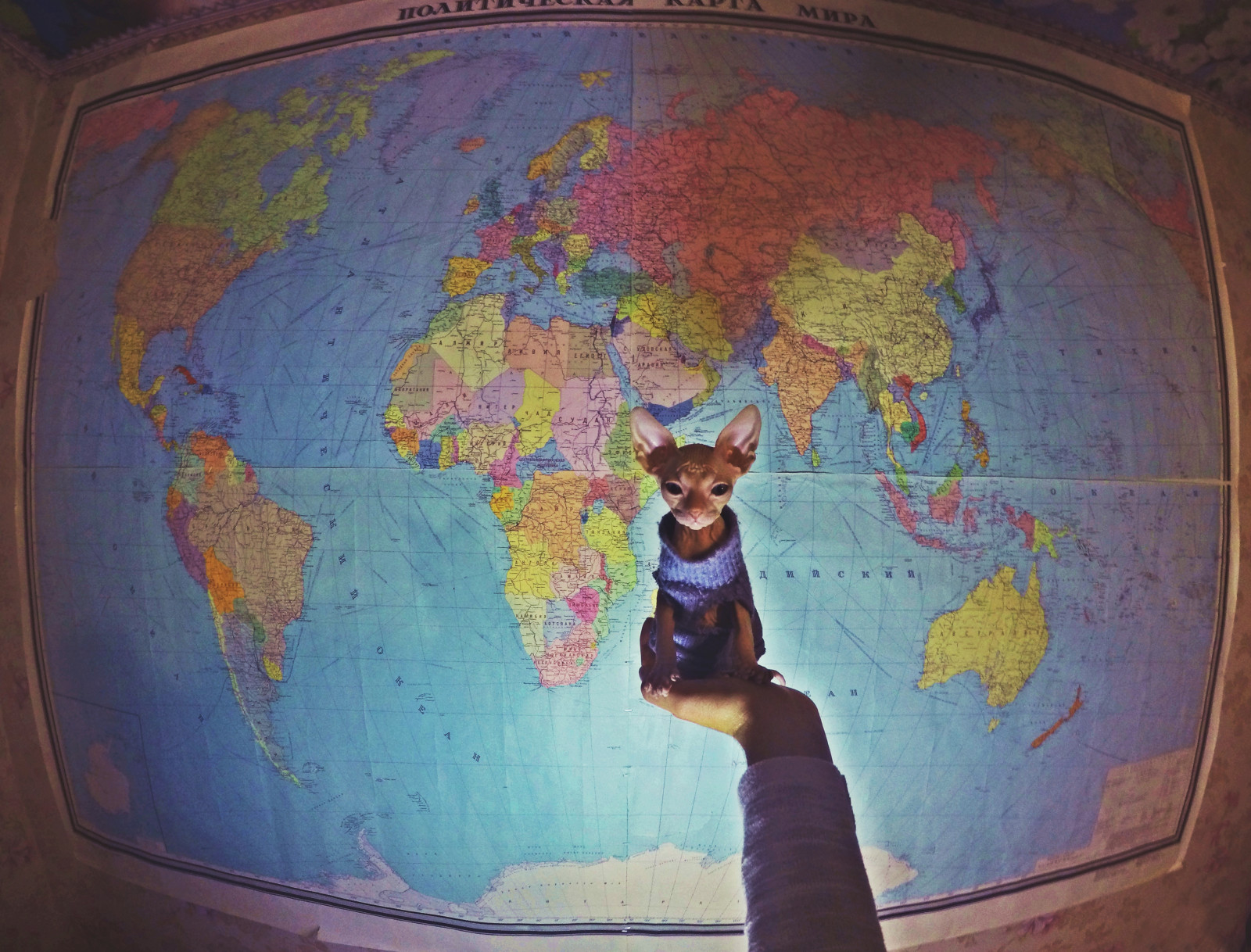 verden, KUNST, globus, plads, maleri