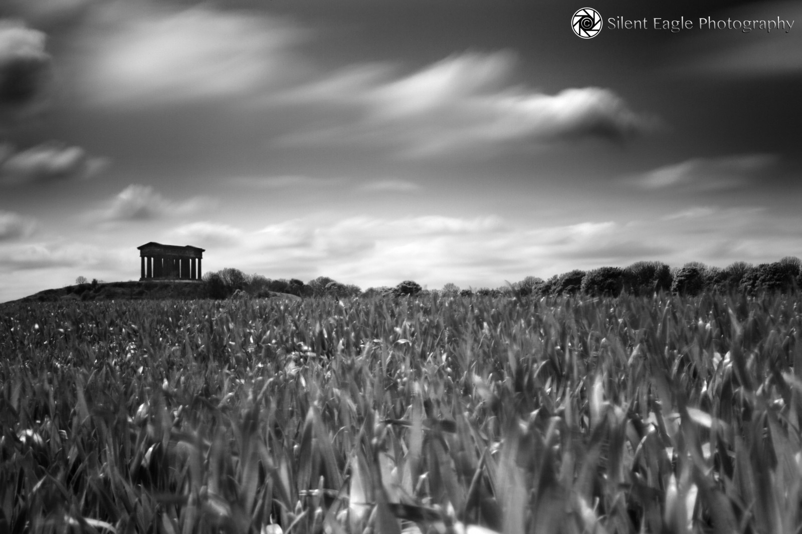krajina, černobílý, tráva, nebe, pole, fotografování, mraky, Kánon, orel, stříbrný, památník, Severní, tichý, nd, dlouho, expozice, mrak, strom, tělesné, východní, filtry, autorská práva, oříznutí, září, silenteaglephotography, silenteagle09, Černý a bílý, monochromatické fotografování, tráva rodina, meteorologický jev, zboží, Penshaw, stock photography