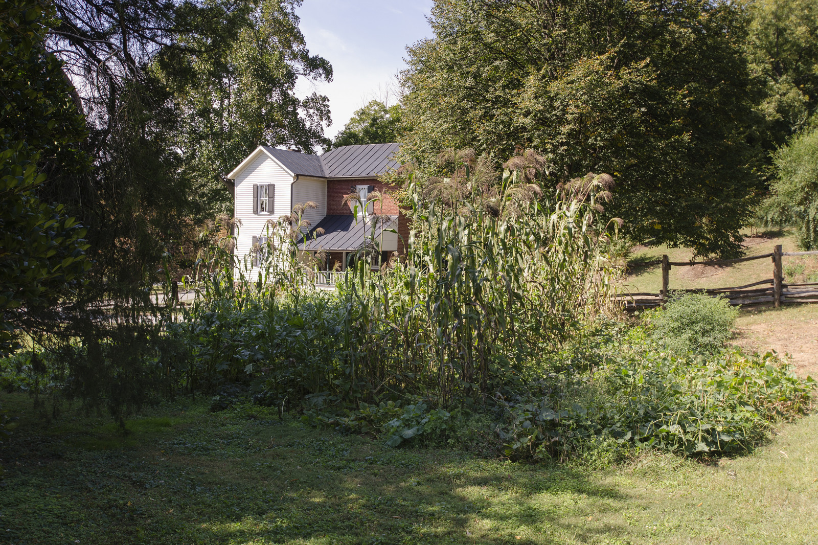krajina, starý, zahrada, ulice, architektura, budova, tráva, Dům, vesnice, historický, dějiny, Spojené státy americké, chalupa, Severní, majetek, Carolina, strom, yard, rostlina, nás, jižní, domů, louka, jižní, plantáž, vila, hlavní, statek, keř, vlastnictví, nemovitost, pozemek pozemek, doba, koloniální, salem, circa, zámek, 1700s