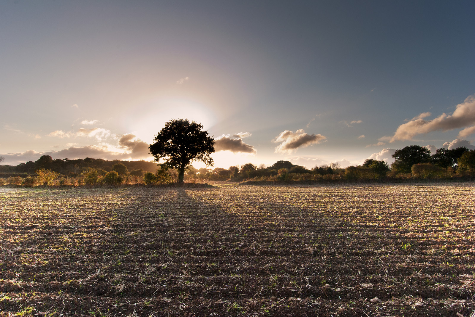 himmel, træ, vand, vedplante, Sky, horisont, morgen, afspejling, sollys, aften, Bank, daggry, atmosfære, vådområde, landskab, Mark, plante, solopgang, sø, berolige, solnedgang, græs, flodslette, flod, skumring, afdeling, meteorologisk fænomen, almindeligt