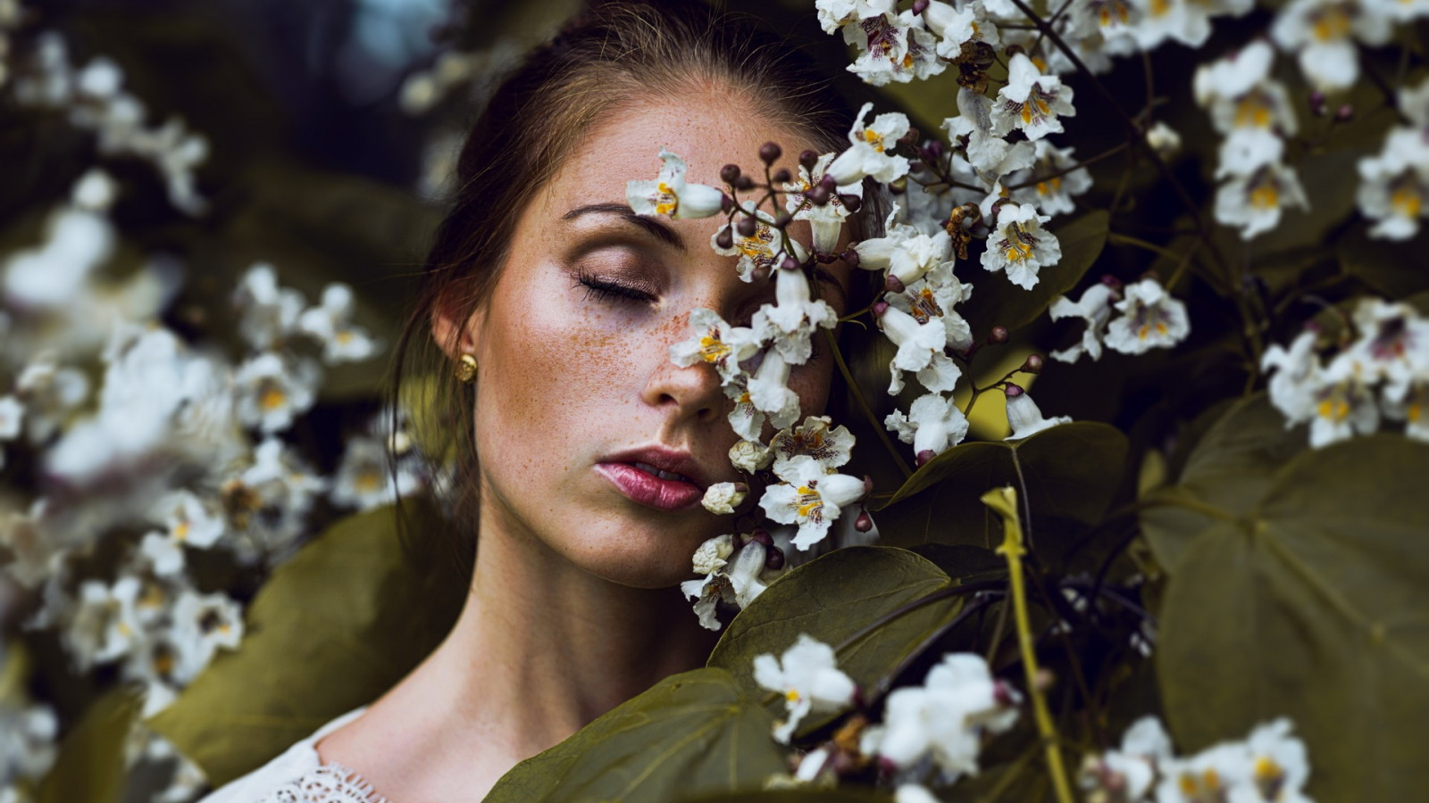 tvár, listy, ženy vonku, ženy, Model, kvety, dlhé vlasy, zavretými očami, príroda, bruneta, makeup, fotografovanie, pehy, Čerešňový kvet, kvet, pružina, kvetina, rastlina, krása, sezóna, žena, flóra, nevesta, fotografie, floristika, kytice kvetov