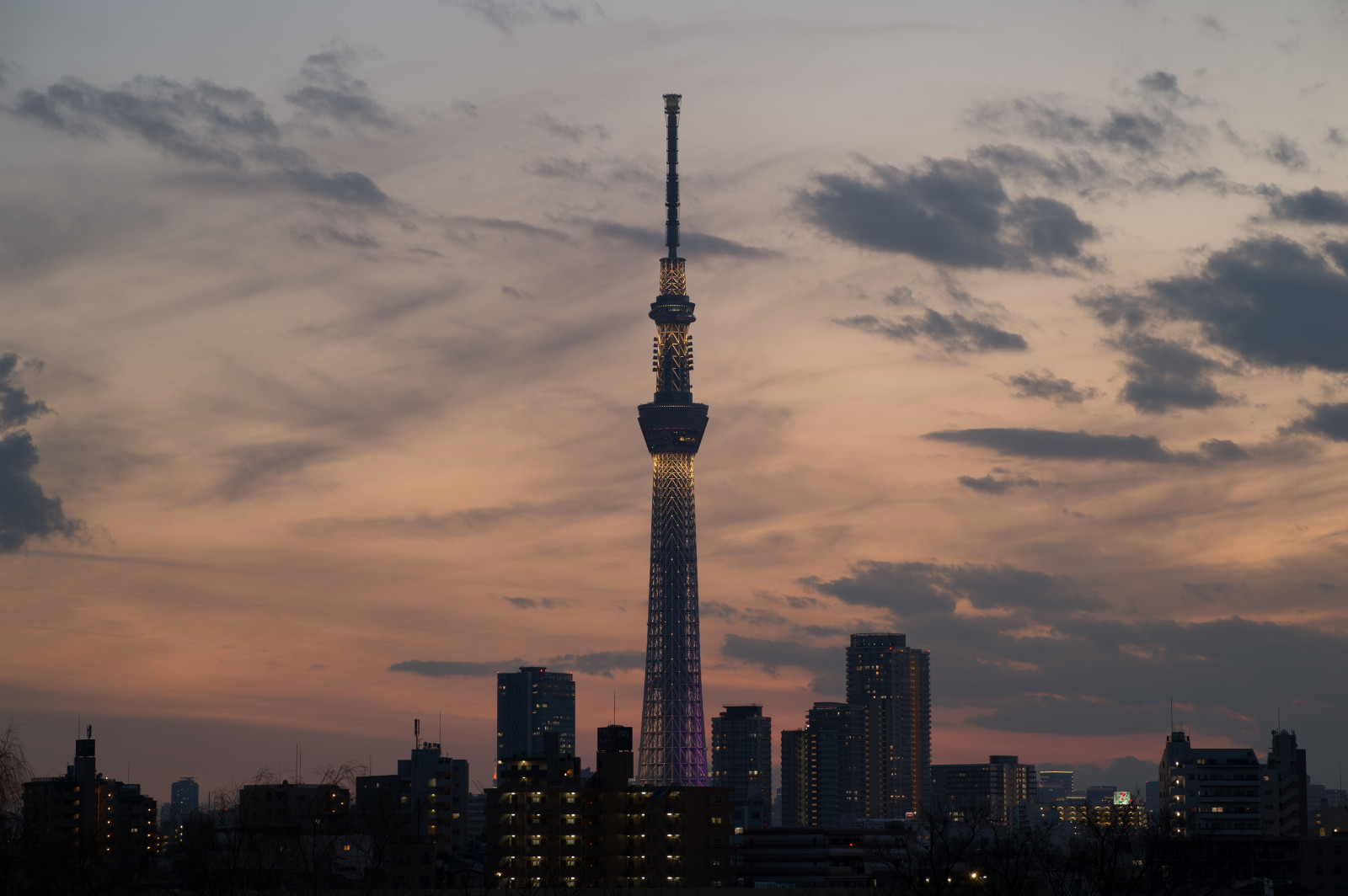 Giappone, tramonto, città, paesaggio urbano, notte, architettura, cielo, Alba, orizzonte, grattacielo, sera, mattina, Torre, orizzonte, Nikon, crepuscolo, Tokyo, Jp, Skytree, nube, NIKKOR, alba, illuminato, illuminazione, punto di riferimento, Tokyo Sky Tree, afs105mmf14eed, afsnikkor105mmf14eed, df, Miyabi, area urbana, atmosfera della terra, insediamento umano
