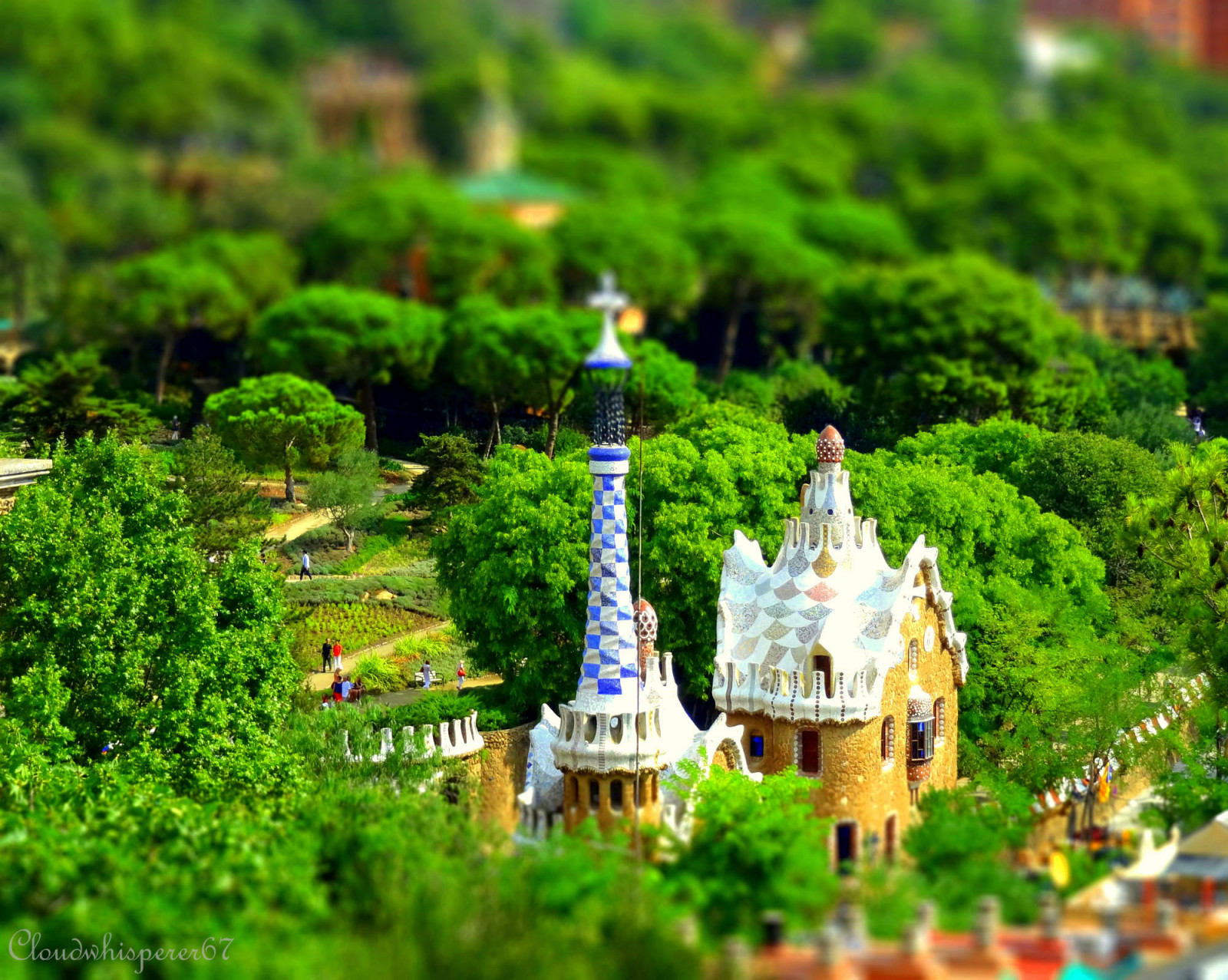 Příroda, rostlina, strom, tráva, zahrada, krajina