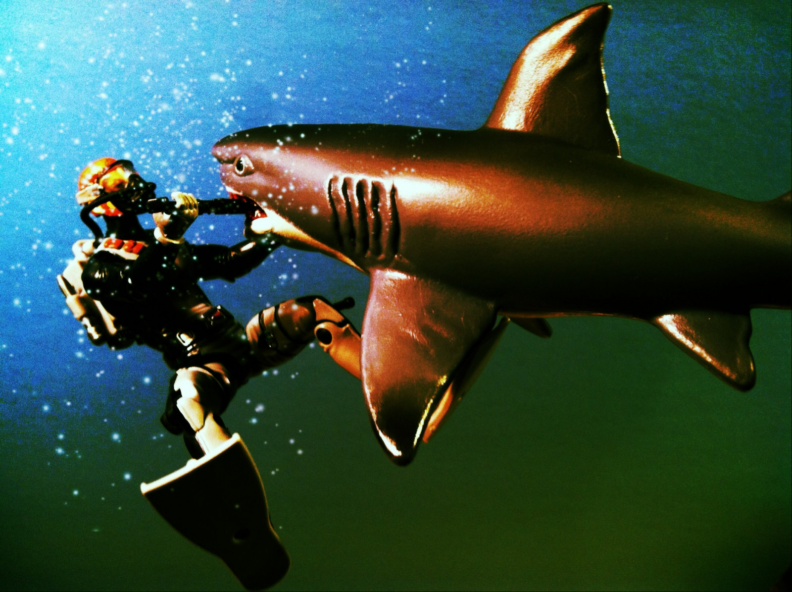 สีขาว, ทะเล, ฉลาม, น้ำ, ปลา, ทีม, ใต้น้ำ, หมาป่า, ฉลามขาว, ขนาด, ดี, รูป, การกระทำ, การผจญภัย, สัปดาห์, gi, joe, ชีววิทยาทางทะเล, lamniformes, สิ่งมีชีวิต, toucanfilter, 118, requiem shark, ฉลามเสือ, carcharhiniformes, ปลากระดูกอ่อน, lamnidae, Gijoe, 334, นักผจญภัย, seaadventurer, squaliformes