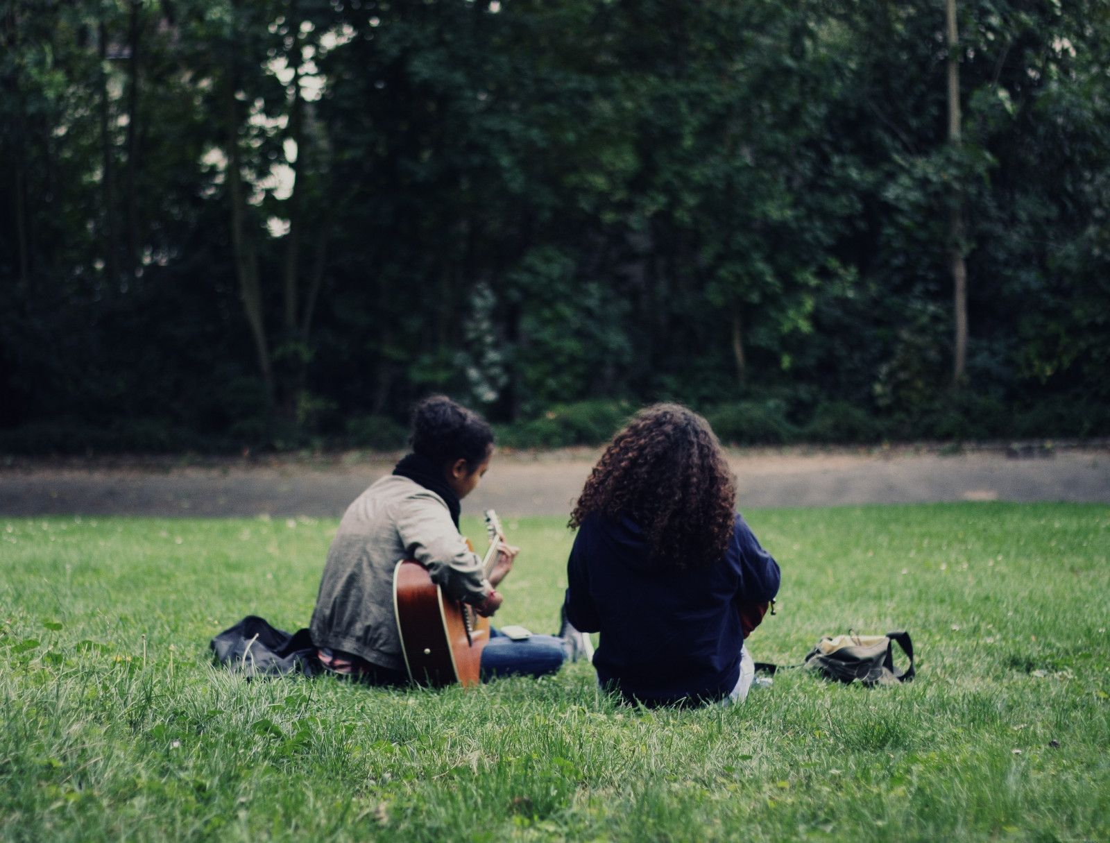 Wallpaper sunlight, landscape, garden, nature, park, guitar, sitting