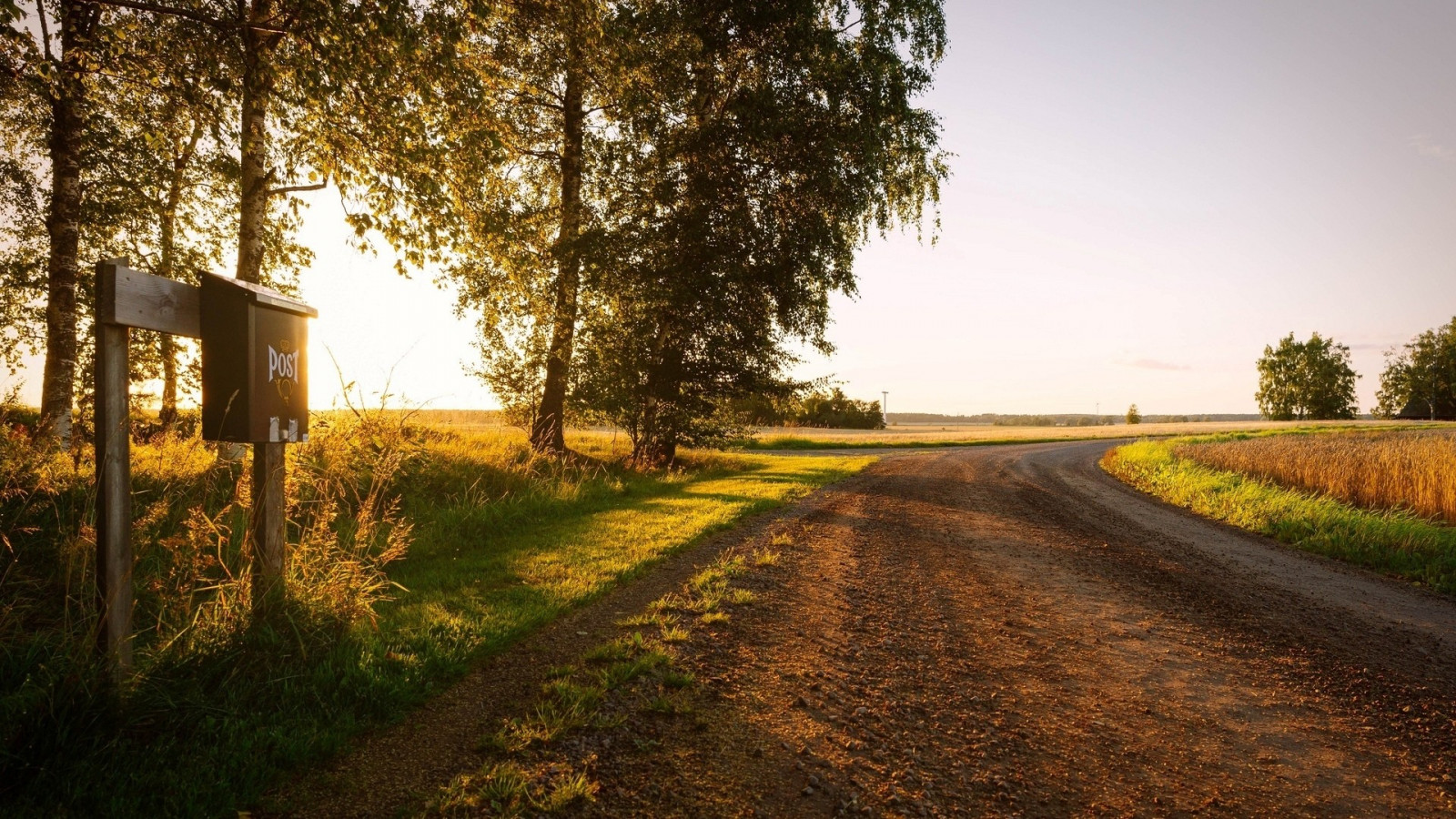 Sonnenlicht, Bäume, Landschaft, Wald, Sonnenuntergang, Natur, Gras, Straße, Abend, Morgen, Schotterstraße, Pfad, Infrastruktur, Licht, Baum, Herbst, Blatt, Jahreszeit, Wald, ländliches Gebiet, Atmosphärisches Phänomen, Holzige Pflanze