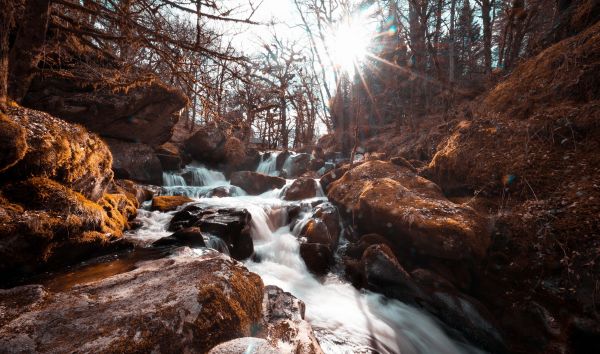nature,sunlight,stream