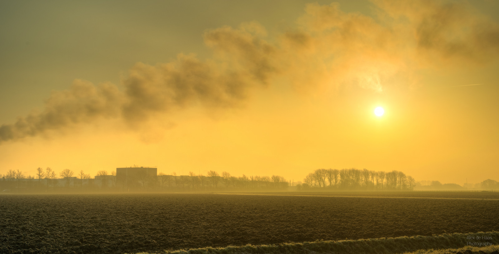 nebe, atmosféra, horizont, ráno, svítání, během dne, Atmosféra Země, svítání, slunečnímu záření, večer, mrak, strom, pole, krajina, odlesk, západ slunce, uklidnit, panoráma, slunce, počítač tapeta, opar, mlha, prostý