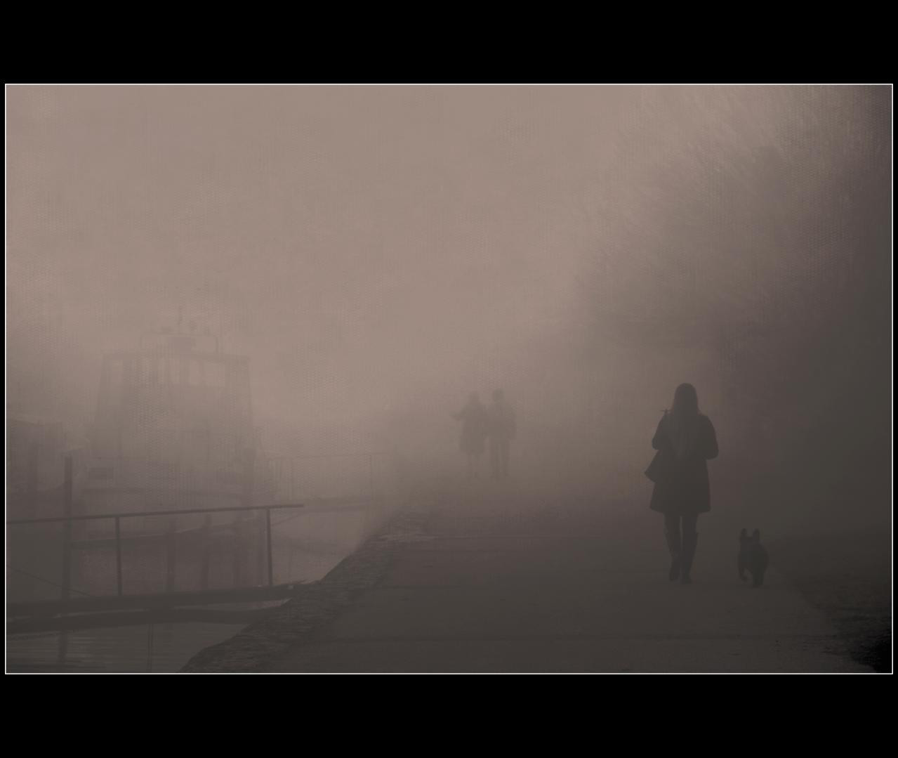 nebe, ráno, mlha, textura, atmosféra, Švýcarsko, opar, mrak, strom, mlha, mygearandme, tma, Soleil, mléko, Trojzubec, mygearandmepremium, brouillard, nikond90, Lumiere, suisse, mlha, promeneur, Atmosféra Země, Černý a bílý, jev, Neuchatel, kráčející, Auvernier, stock photography