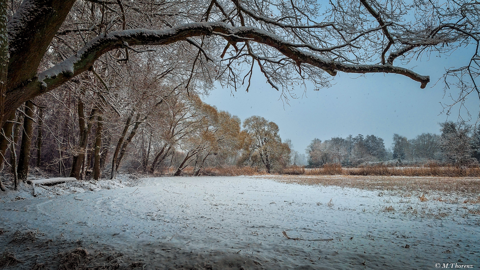 slunečnímu záření, krajina, les, voda, tráva, nebe, sníh, zima, větev, led, ráno, mráz, chytrý telefon, zmrazení, mokřadní, strom, list, Landschaft, rostlina, de, deutschland, pole, přistát, Schnee, baum, hessen, zálesí, Felder, lužní, vlhčí, samsunggalaxynote4, Sonstiges, bieber, offenbachammain