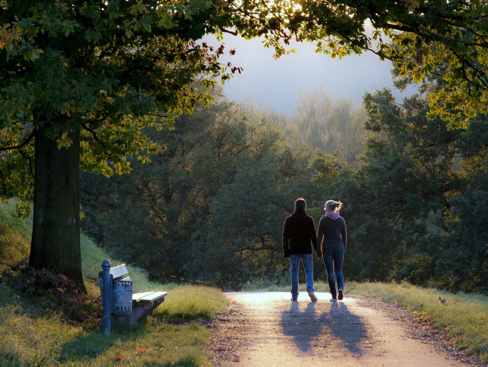 efterår, lys, træ, efterår, elsker, silhuet, kvinde, baggrundsbelysning, contraluz, Hessen, gå, Herbst, baum, Gettyimages, gegenlicht, Camberg, topshots, flickraward, photosandcalendar, flickrestrellas, nikonflickraward, dag sbest, theoriginalgoldseal, flickraward5, flickrsportal