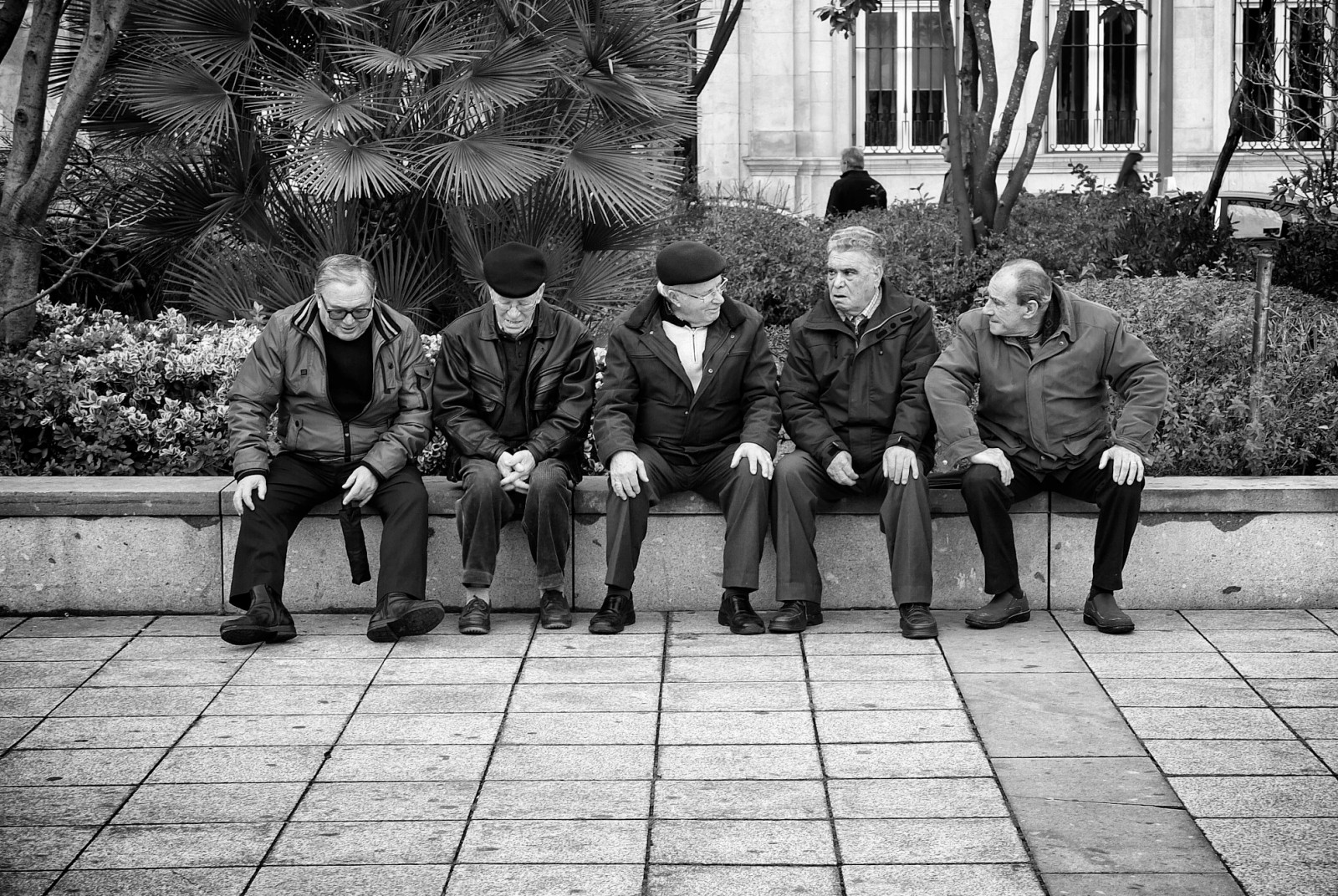 muži, bílý, Černá, černobílý, 500px, ulice, sedící, silnice, fotografování, stojící, Portugalsko, infrastruktura, strom, centrum, dítě, flickr, rostlina, dívka, Černá bílá, zábava, člověk, styl, fotografie, streetphotography, upřímný, mužský, streetphotographer, x10, fujifilmx10, momentka, rekreace, urban area, Černý a bílý, monochromatické fotografování, sociální skupina, veřejný prostor, místa k sezení, juststreet, fernandopc, Baixa, Guimara es, human behavior