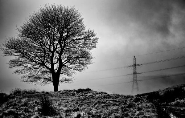 sunlight, landscape, white, nature, black, monochrome