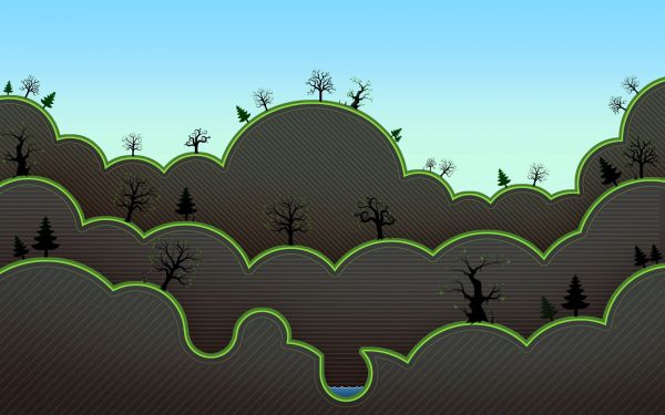 trees,forest,green,pine trees,illustration,circle