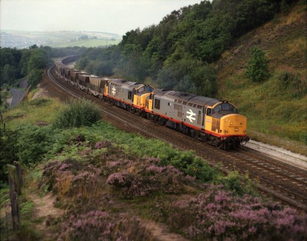 vehicle,train,back,loading,transport,empty