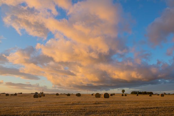 sunlight, landscape, sunset, hill, nature, grass