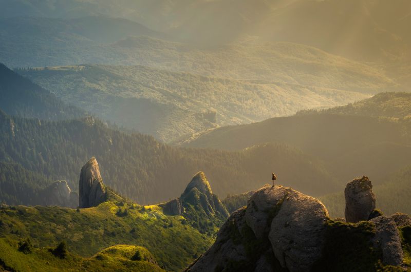 3506x2329 px,Ciuca Peak,erdő,tájkép,természet,fényképezés
