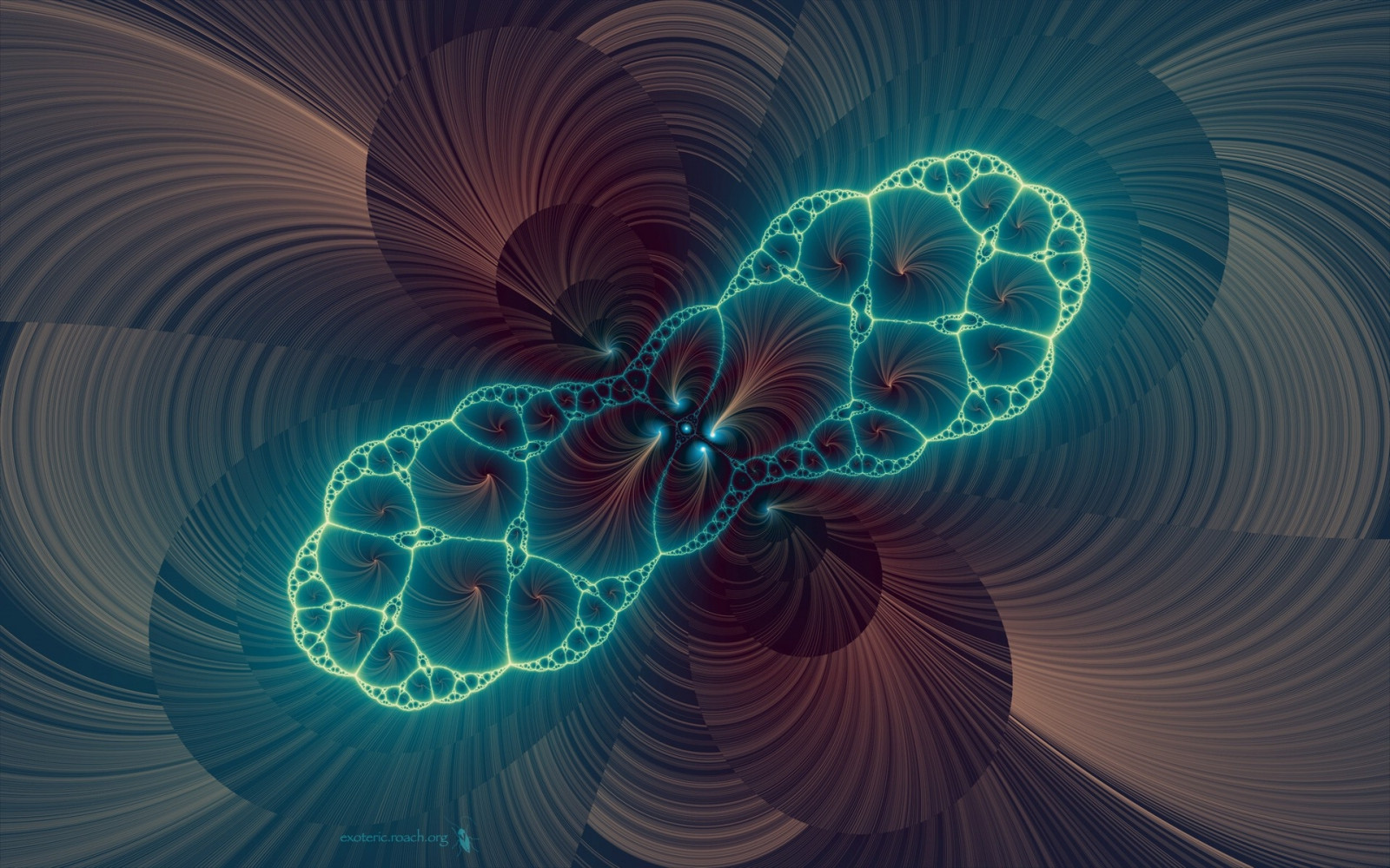illustrazione, riflessione, spirale, simmetria, blu, cerchio, Linee, vortice, ARTE, leggero, colore, fiore, onda, modelli, linea, ala, immagine dello schermo, sfondo del computer, atmosfera della terra, arte frattale, organo, fotografia macro, l'arte psichedelica, rotazione
