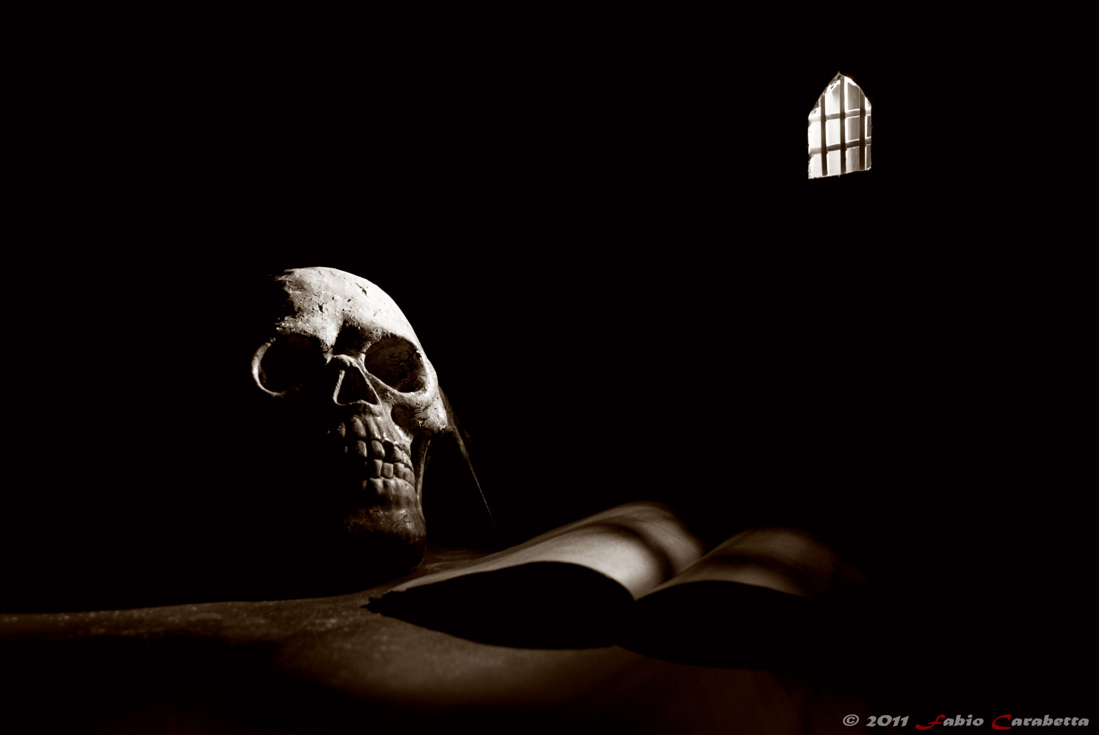 bílý, Černá, Itálie, lebka, smrt, život, duch, Dánsko, Sicílie, Tajemství, Osada, vita, světlo, Černý a bílý, Italia, Fantasma, rezervovat, tma, bianco, nero, štika, Danimarca, Shakespeare, Sicilia, počítač tapeta, Černý a bílý, zátiší fotografování, morte, teschio, William, fabio, mistero, libro, Palermo, amleto, carabetta