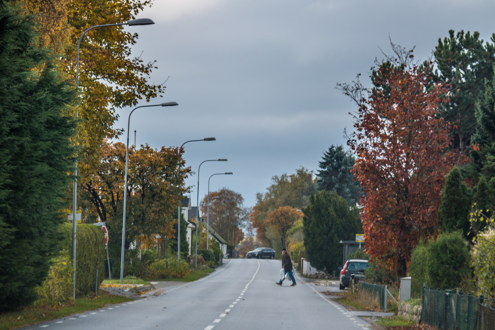 ถนน, ถนน, เช้า, โครงสร้างพื้นฐาน, ต้นไม้, ฤดูใบไม้ร่วง, ใบไม้, ปลูก, ฤดู, tr d, h st, วีจี, ผ้าปูที่นอน, เลน, เขตชนบท, เขตเมือง, ไม้ยืนต้น, ย่าน, ย่านที่อยู่อาศัย