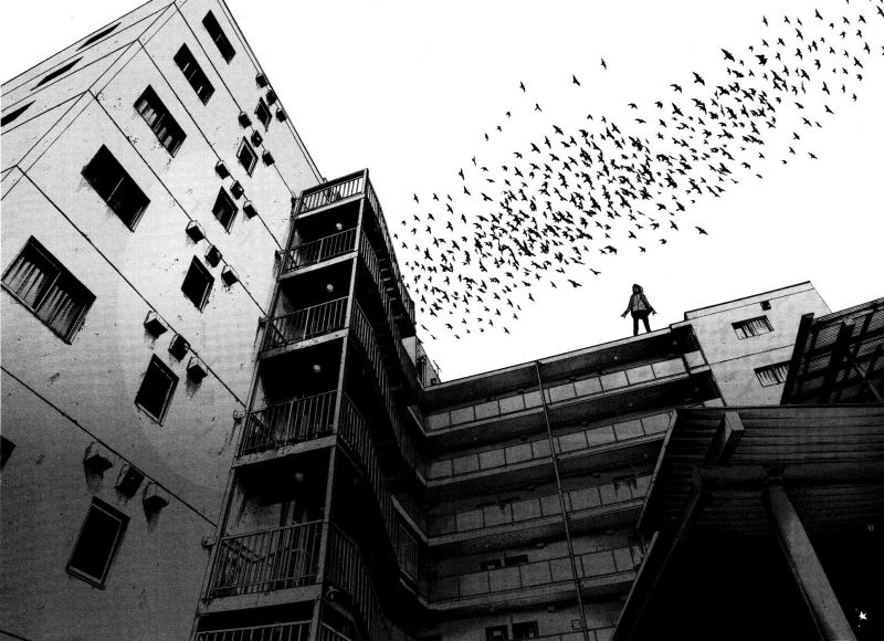 ptactvo, černobílý, budova, fotografování, bílý, Černá