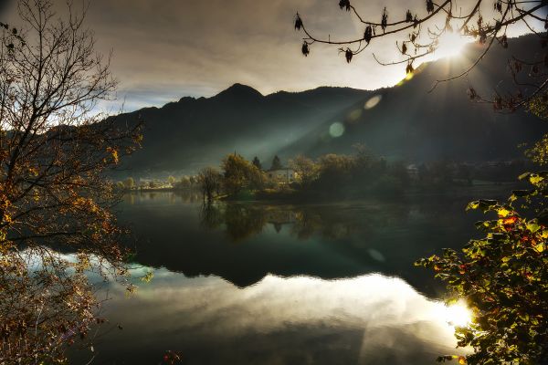 sunlight, landscape, forest, sunset, nature, night