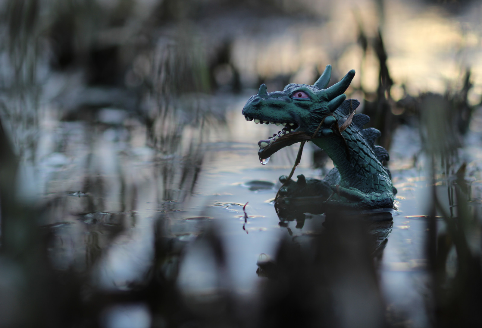 Wallpaper sunset, reflection, water, monster, Toy, dof, dragon