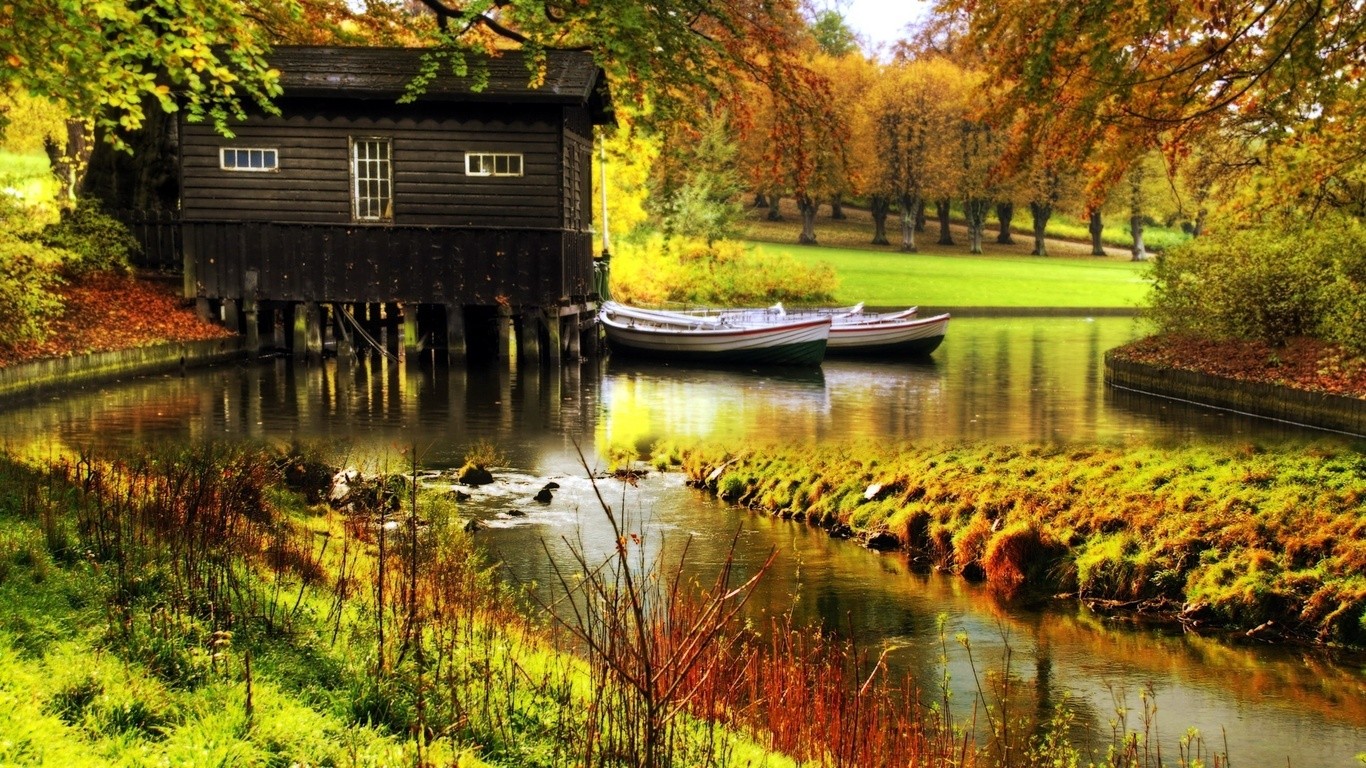 giardino, riflessione, mattina, stagno, insenature, albero, autunno, foglia, fiore, stagione, corso d'acqua