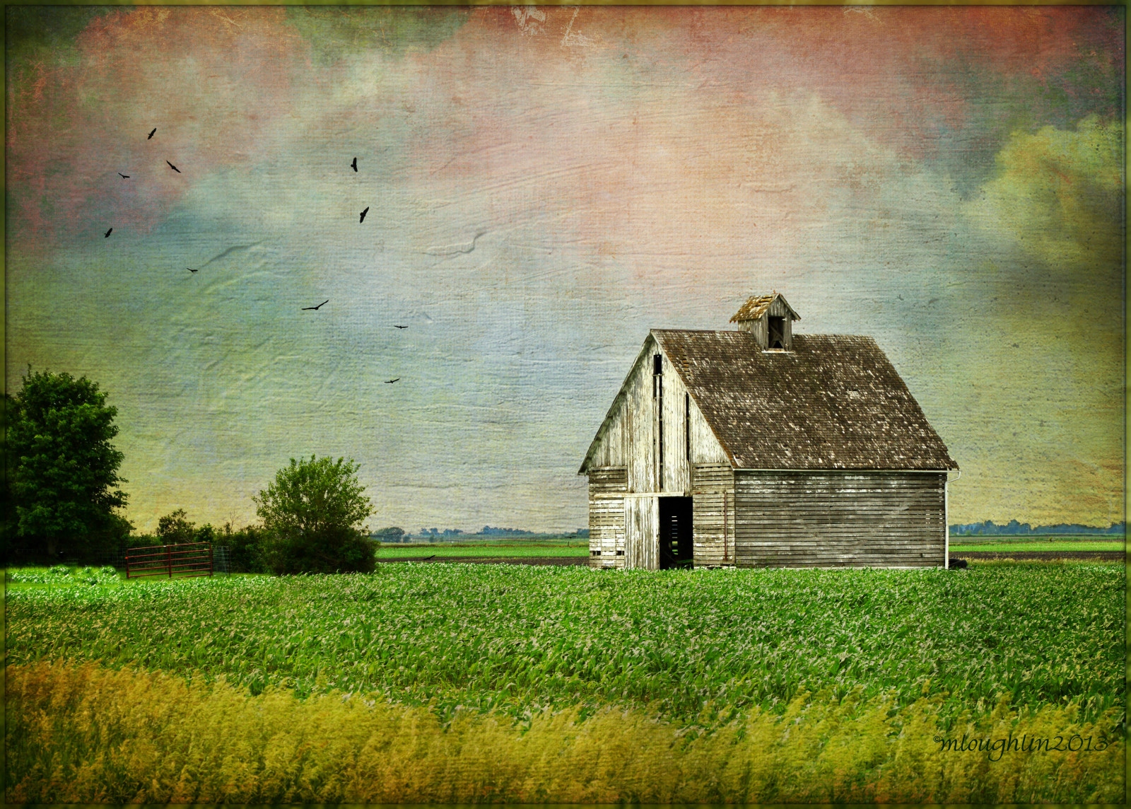 slunečnímu záření, krajina, malování, Příroda, opuštěný, tráva, nebe, stěna, pole, Dům, zelená, žlutý, ráno, hospodařit, textura, Nikon, stodola, jaro, venkovský, stodoly, Iowa, země, mrak, strom, květ, lučina, malovat, pastvina, domů, louka, HSS, D3200, memoriesbook, prérie, statek, distressedjewell, venkov, tráva rodina, akrylová barva, meteorologický jev, akvarel barvy, corncrib, distressedjewellbirdbrush, visual arts
