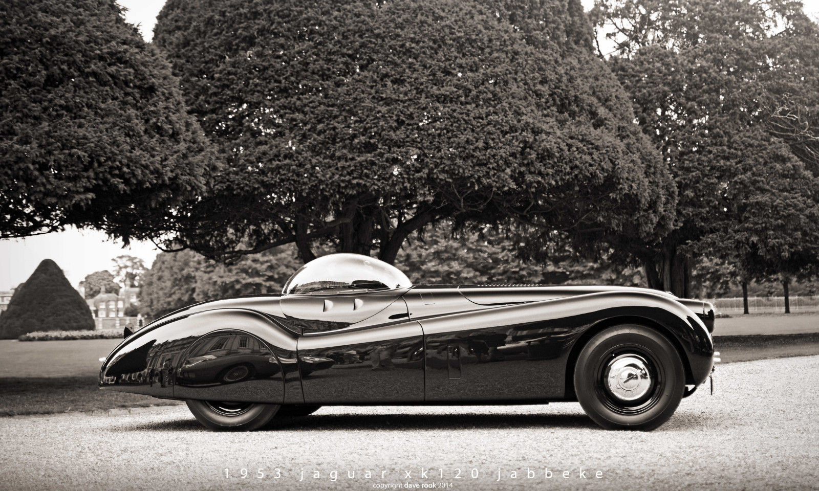 auto, veicolo a motore, veicolo, bianco e nero, design automobilistico, Macchina vintage, fotografia, classico, auto d'epoca, Jaguar XK120, fotografia in bianco e nero, vettura di medie dimensioni, auto sportiva, monocromo, auto d'epoca