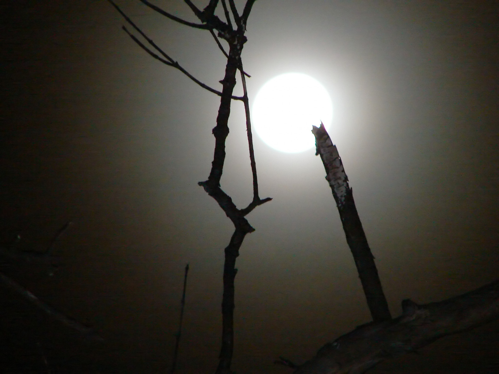 Wallpaper : Sony, cybershot, H1 2048x1536 - - 675918 - HD Wallpapers