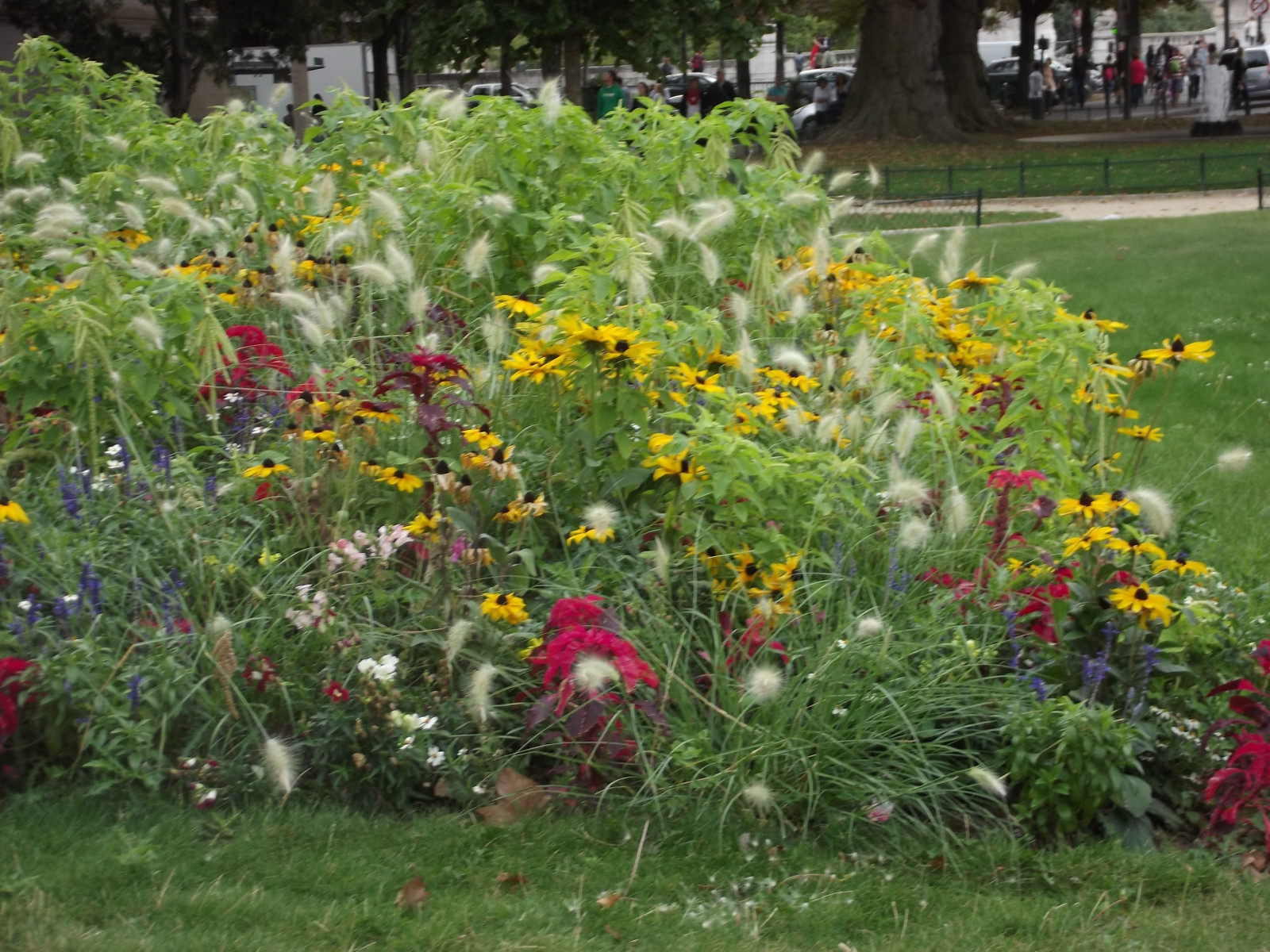 zahrada, Příroda, budova, park, Paříž, zadní dvorek, květ, yard, rostlina, flóra, louka, divoká rostlina, trávník, botanika, suchozemská rostlina, kvetoucí rostlina, keř, jednoletá rostlina, 3072x2304 px, Botanická zahrada