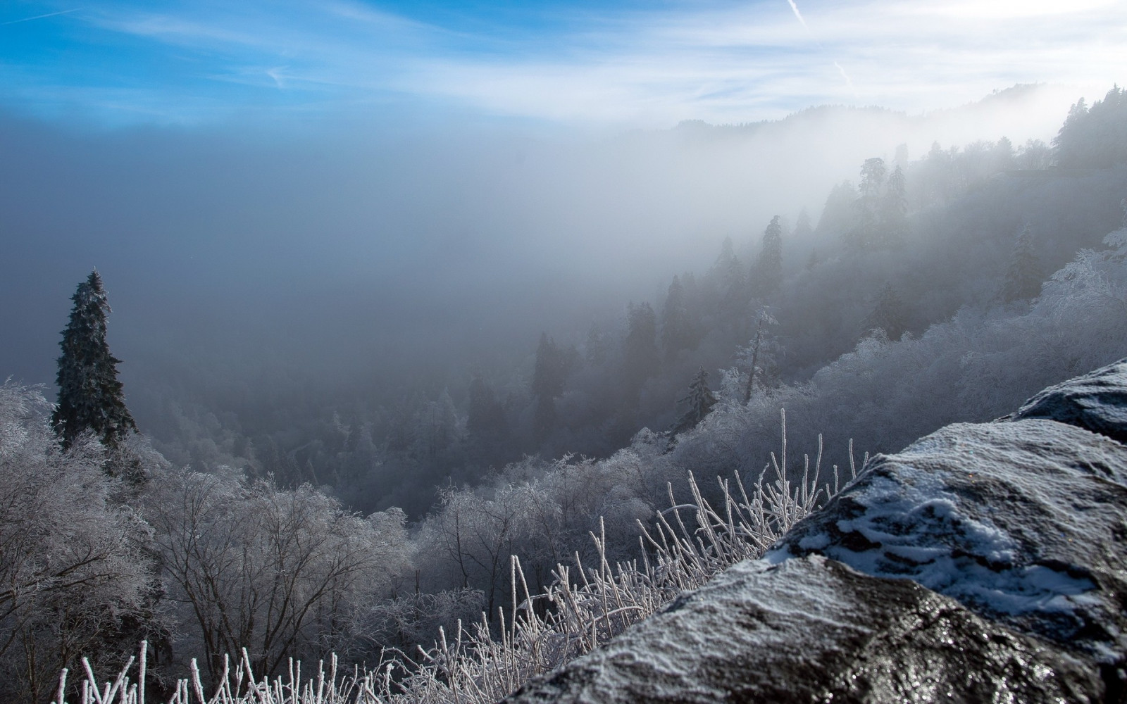 slunečnímu záření, stromy, krajina, les, Příroda, sníh, zima, kopce, Studený, ráno, mlha, údolí, divočina, Alpy, vrcholek, plošina, hřbet, mrak, strom, hora, počasí, sezóna, atmosférický jev, horských reliéf, landform, geografický rys, geologický fenomén, pohoří