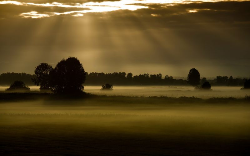 sunlight, trees, landscape, sunset, sea, lake sunlight, trees, landscape, sunset, sea, lake