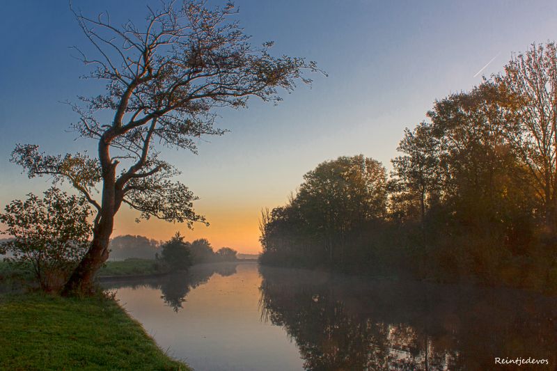 odraz, voda, Příroda, nebe, strom, banka