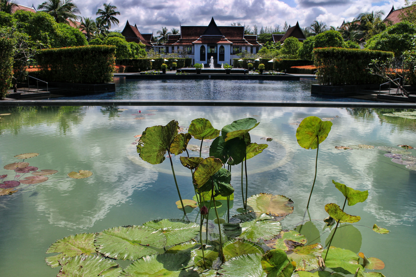 výlet, cestovat, modrý, stromy, Červené, dovolená, nebe, mrak, Dovolená, odraz, strom, zelená, mokrý, voda, kašna, listy, mraky, Kánon, odrazy, Thajsko, fotografování, hotel, fotografie, list, rybník, dovolená, Asie, Jihovýchodní Asie, fotograf, zakalený, fotky, dlaň, palmy, cesta, palmtree, Thai, cestování, kašna, Křoví, vegitation, klidný, Khaolak, beautifulmoments, cestovatel, Phangnga, Překrásná místa, jwmarriott, wonderfulplaces, khukkhak, beautifulhotels, beautifulpools, jwmarriottkhaolak, canoneosm
