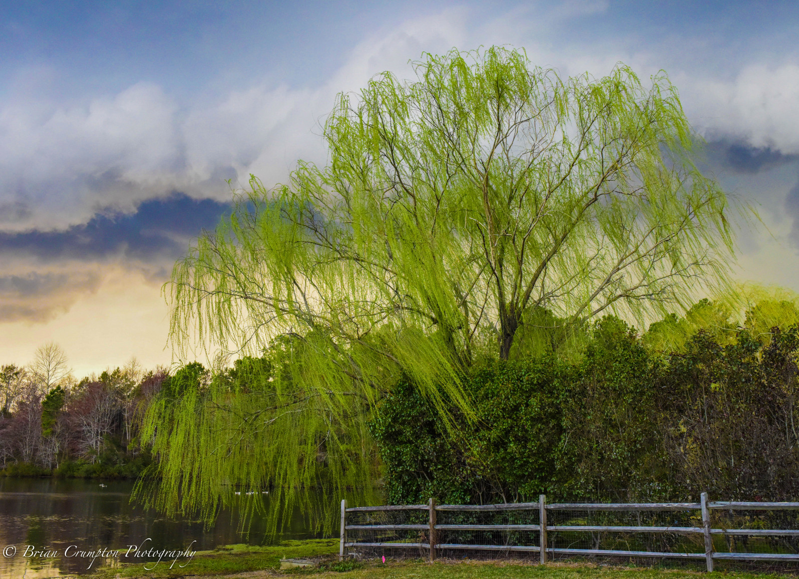 Wallpaper sunlight, landscape, lake, water, reflection, sky, winter, field, branch, calm