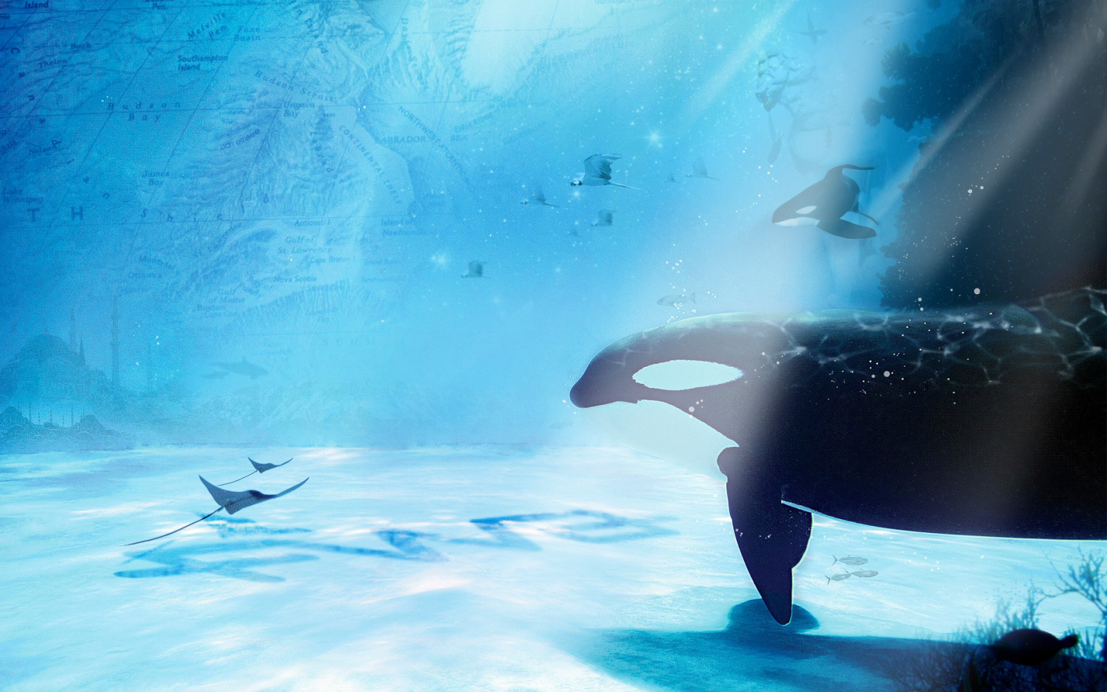 1920x1200 CG M 1920x1200-cg-m