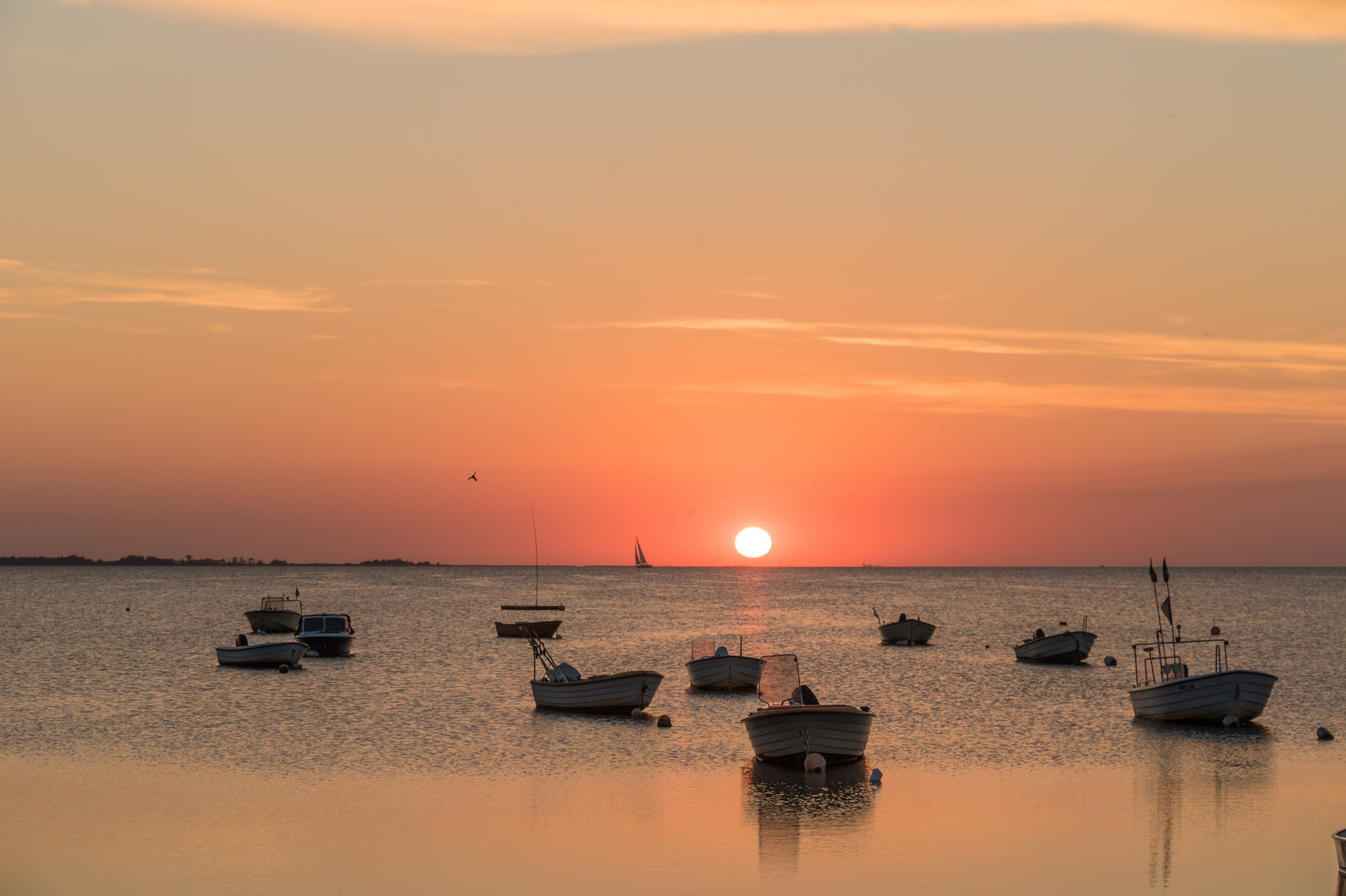 loď, západ slunce, moře, záliv, voda, pobřeží, nebe, pláž, svítání, večer, ráno, pobřeží, slunce, horizont, soumrak, slunce, mrak, svítání, oceán, zlatá hodina, vlna, nebe, solnedg ng, vatten, fiskehoddorna, hav, b t, moln, h llviken, exif modelu canoneos760d, geocountry, Kamera aby kánon, geocity, Model fotoaparátu canoneos760d, geostate, geolocation, EXIF čočka efs18200mmf3556is, exif aby kánon, EXIF isospeed 100, EXIF otvor 71, exif focallength 60mm, gyllenetimmen, odlesk, tělo z vody