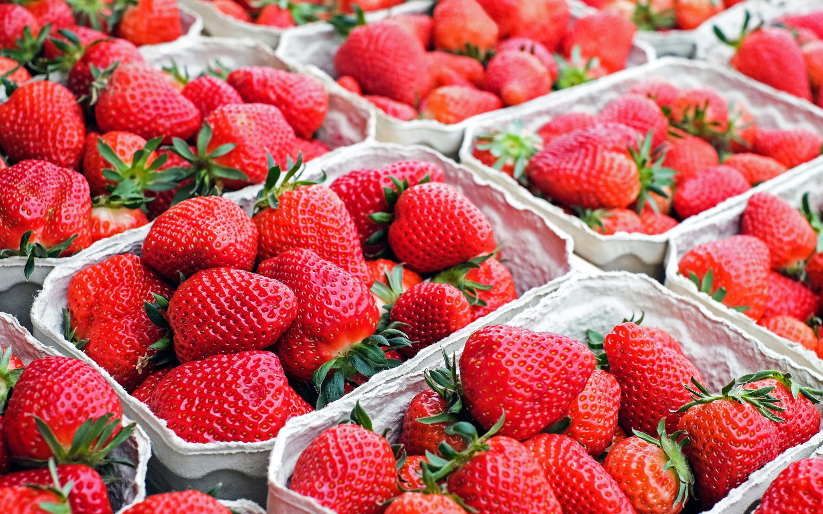 Strawberry Com Интернет Магазин