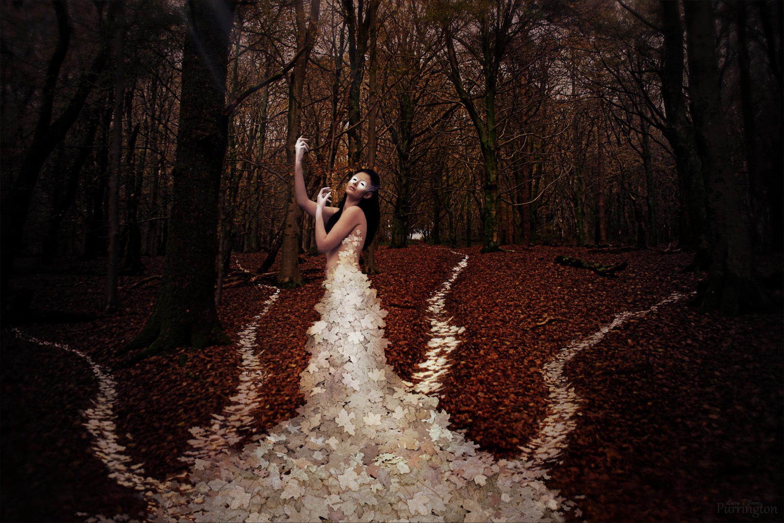 slunečnímu záření, les, listy, bílý, portrét, Příroda, zima, šaty, nadreálný, seasons, Kánon, Pojem, strom, podzim, list, sezóna, sen, les, fotografie, tma, forrest, obraz, podivný, surrealismus, zvláštní, surrealista, Purrington, conceptphotos, lucypurrington, lucyjanepurrington, canon40d, zálesí, carlyturner, carlyturnerphotography, missdrazen