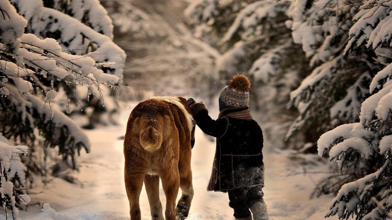 animals, children, snow, winter, temple, rock animals, children, snow, winter, temple, rock