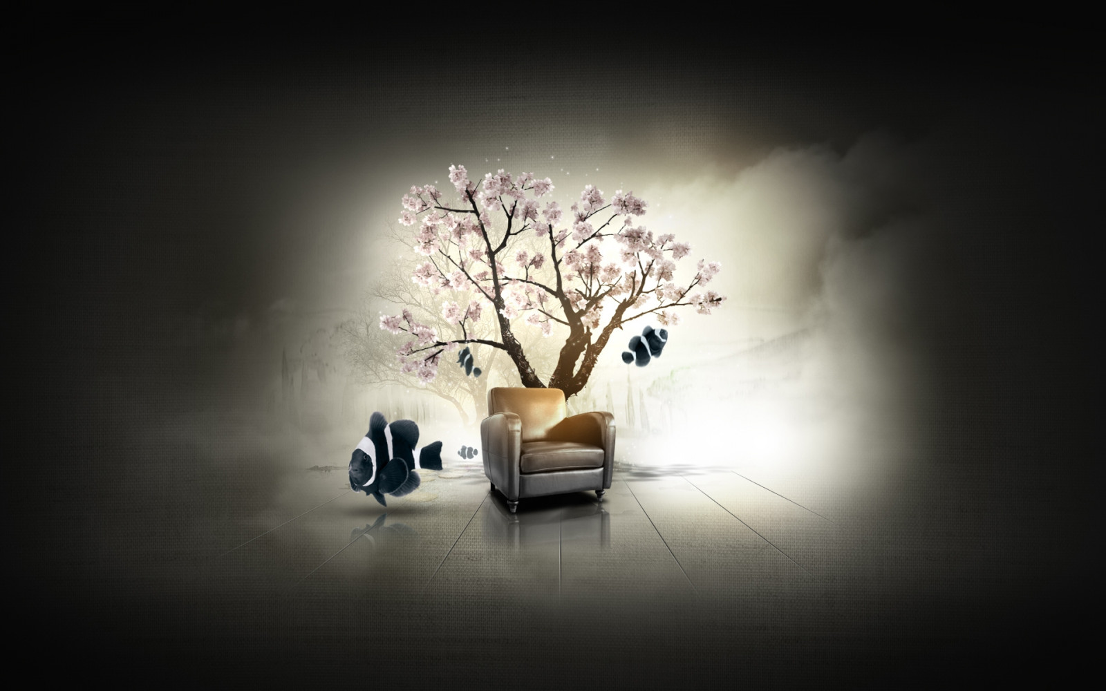 sollys, hvid, nat, afspejling, fotografering, afdeling, fisk, stol, morgen, lys, farve, træ, blomst, kirsebær, belysning, form, fisk, mørke, computer tapet, makrofotografering, Dilshan arukatti, Fordybende have