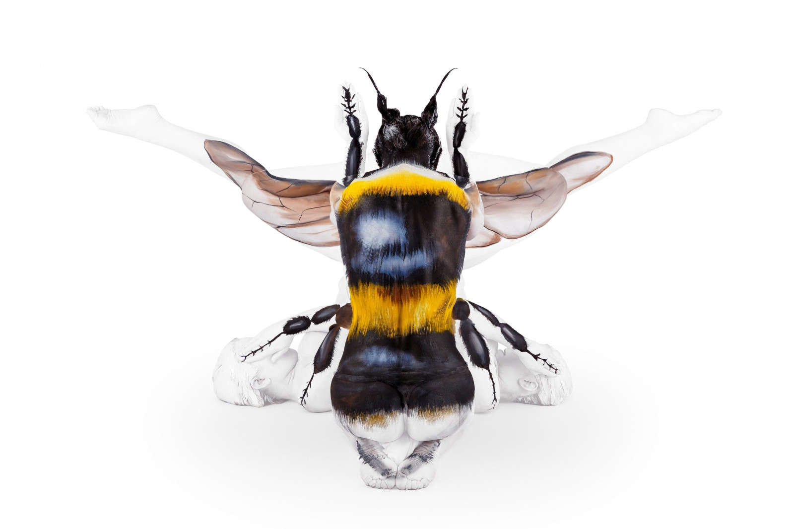 zvěř, ženy, model, zavřenýma očima, osel, nohy, umělecká díla, bílé pozadí, tělo barva, hmyz, prsa, včely, akt, Včela, vosa, sršeň, bezobratlý, membrána okřídlený hmyz, včelí med, opylovači