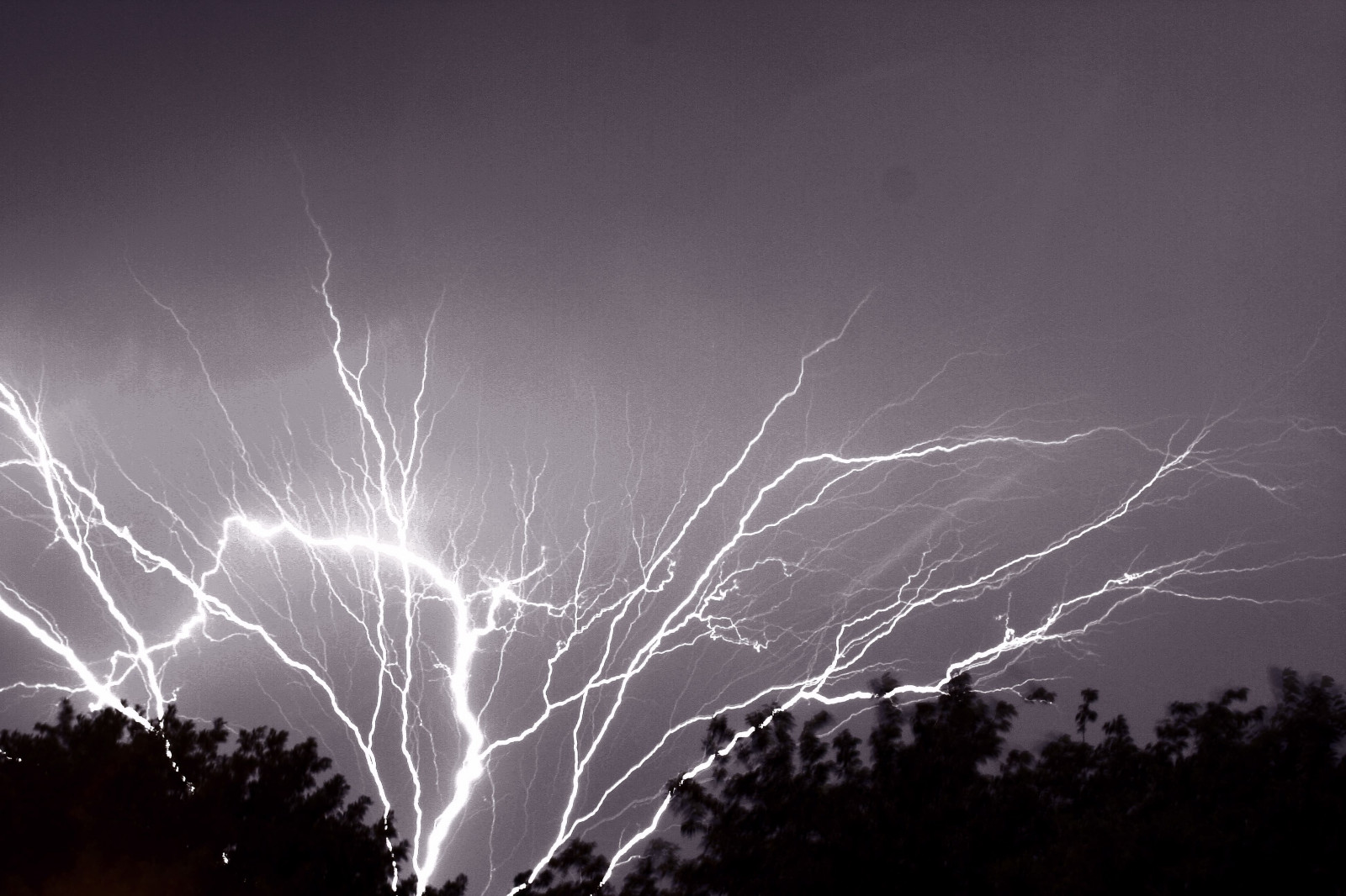 paesaggio, notte, cielo, ramo, fulmine, tempesta, atmosfera, tuono, elettricità, Texas, nube, albero, mygearandme, temporale, oscurità, sfondo del computer, bianco e nero, fotografia in bianco e nero, fenomeno meteorologico, fenomeno, top20texas, soulocreativity1