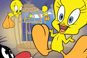 トゥイーティー デスクトップ壁紙 デスクトップ壁紙 Wallhere