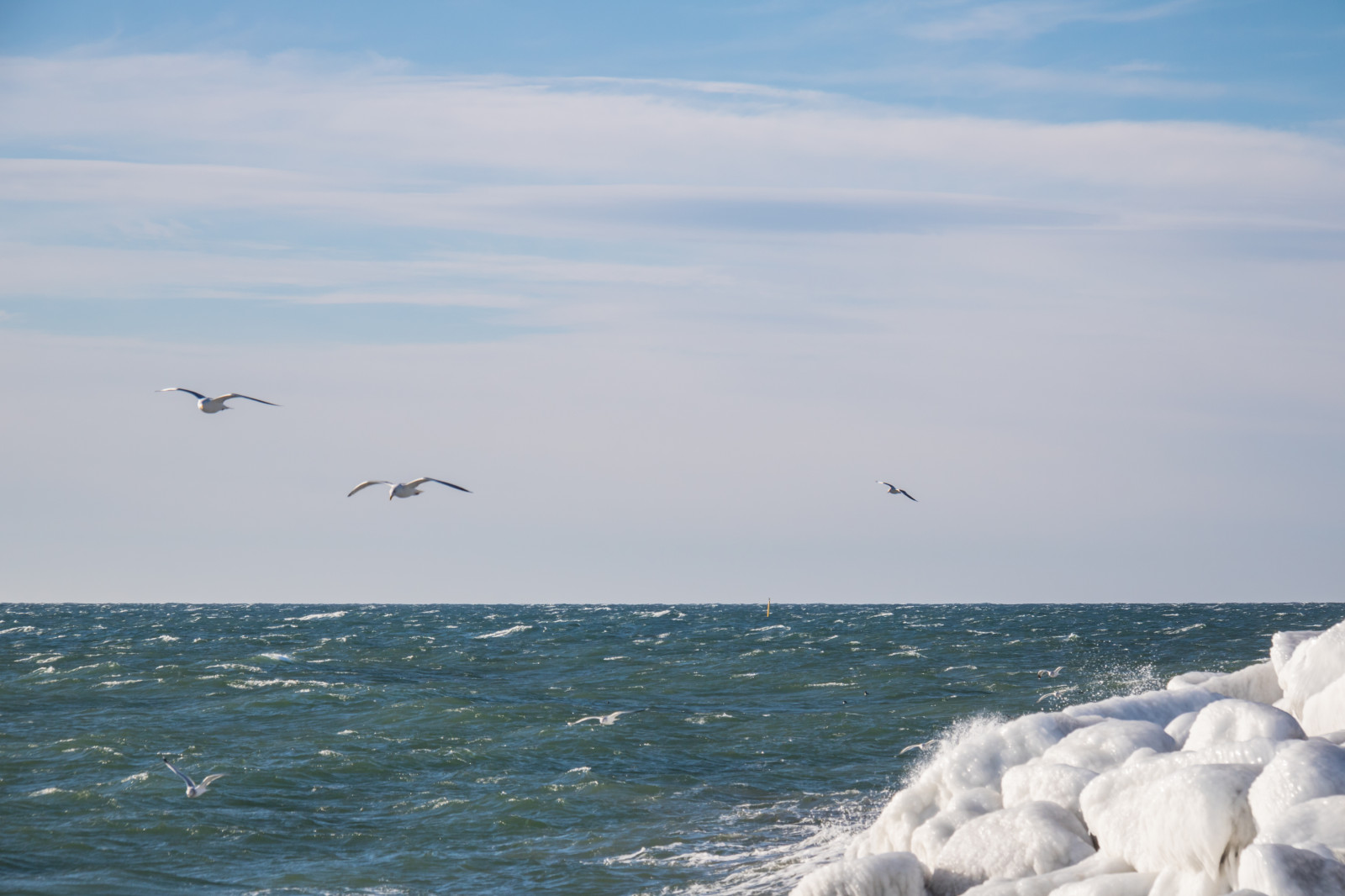hav, vand, kyst, sand, vinter, strand, is, kold, kyst, vind, horisont, kappe, er, fugl, ocean, bølge, vinter, hav, f gel, Smygehuk, måge, havfugle, vind-bølge, Charadriiformes